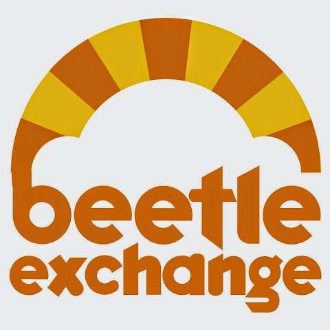 Photo: Beetle Exchange